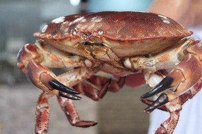 低至6.8折！徹底被啟東這家蒸汽海鮮店'蒸'服！